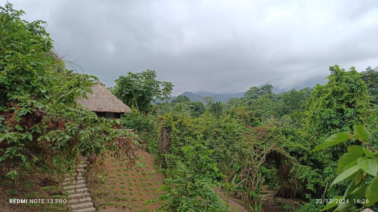 Vista del hostal Eden Tayrona Park